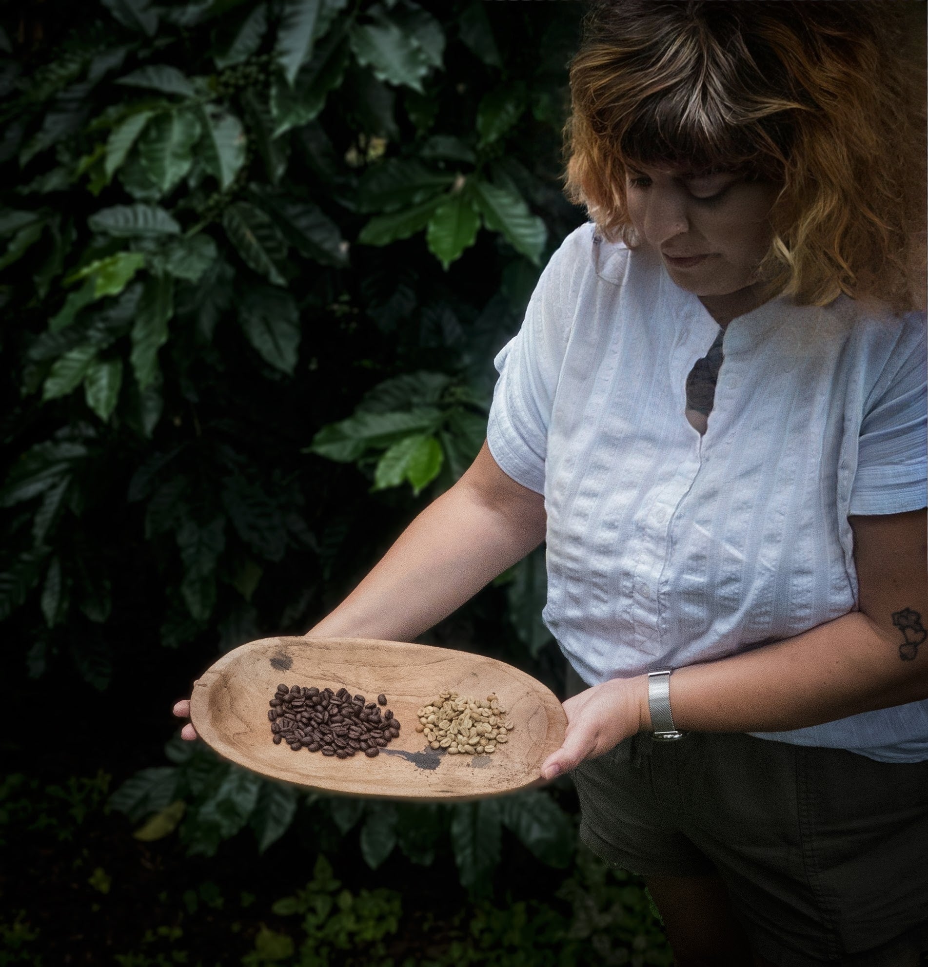 llama founder Lisa Trinidad showing off the roast at finca dos jefes one side is raw green beans the other side of the tray is roasted coffee beans 